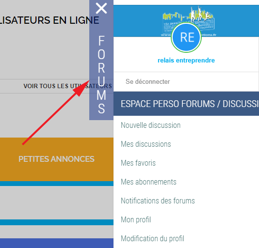 forums www.lesitedesassociations.fr