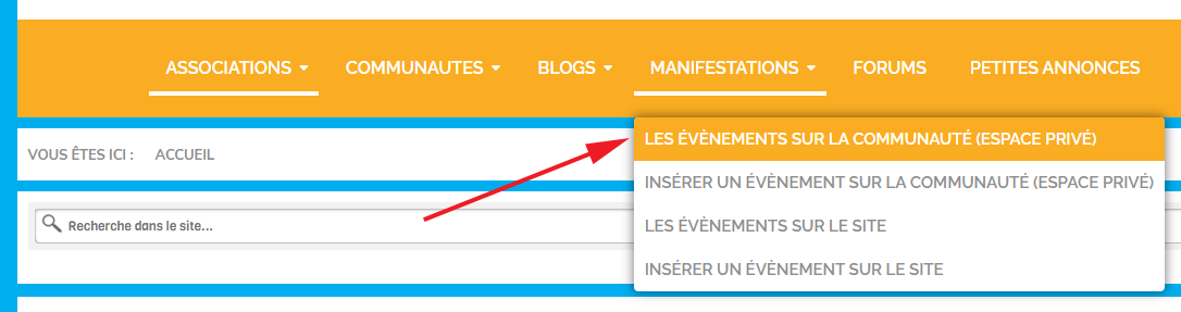 manifestations lesitedesassociations.fr