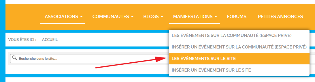 manifestations lesitedesassociations.fr